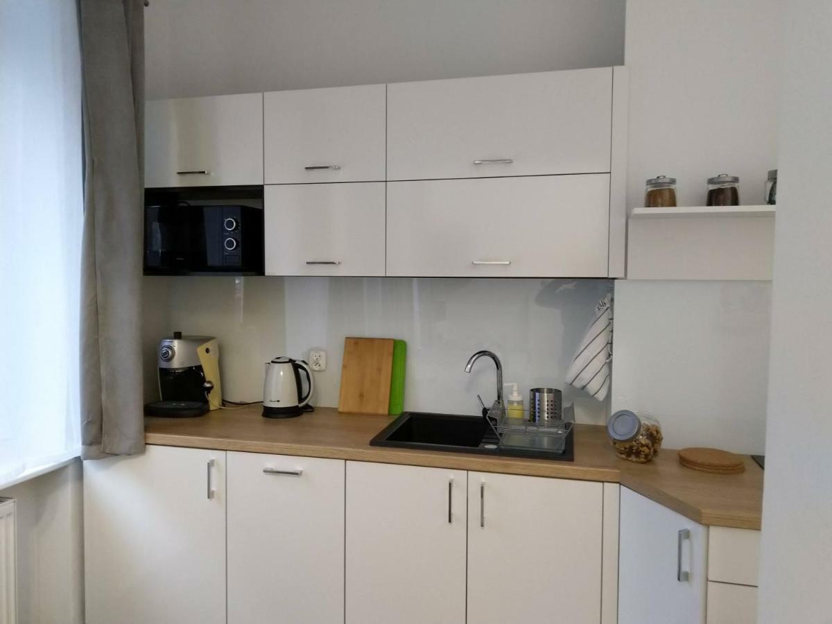 Apartament Przedzamcze Stary Toruń Exterior foto